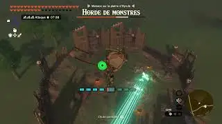 Zelda totk - DarkTaupe vs monster forces - Flawless victory