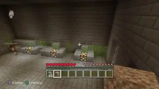 MC Adv MAP