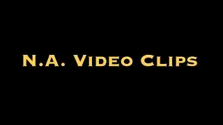 T.F.P: The Beatles Fan Video Clips new project (RED DESC)