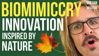Innovation Inspired by Nature: BIOMIMICRY explained