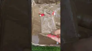 What is in mud?? reveal Hidden treasure #shorts#muddy#youtubeshorts