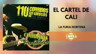 El Cartel de Cali - La Furia Norteña | Corrido Norteño | Video Letra