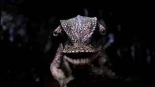 Budweiser Lizards  A Family Tradition 360p