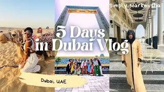 DUBAI TRAVEL VLOG 2023 | City tour, Safari, Dubai Frame