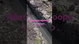 Тфрыиыррыры