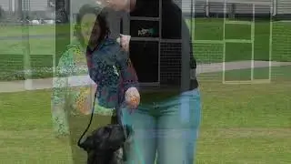 Koo Wee K9 Bootcamp, Looking back on  2025