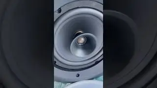 ฅ😸ฅDante ceiling speaker #conference #ceiling #speaker  ，active speaker RJ45 interface speaker