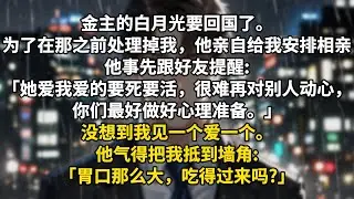 金主的白月光要回国了。为了在那之前处理掉我，他亲自给我安排相亲。他事先跟好友提醒:「她爱我爱的要死要活，很难再对别人动心，你们最好做好心理准备。」没想到我见一个爱一个。闷骚顶头上司，我笑纳了。