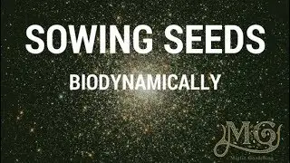Planting Seeds Biodynamically
