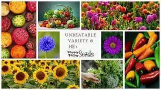 🌞 Summer Gardening Made Easy | Happy Valley Seeds &ndash; Veggies, Flowers, Herbs & More!