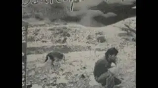 Polo Pepo-Es delito ser Punk.