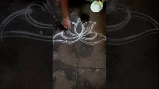 Easy Double stroke lotus rangoli design 🪷🪷🪷#nagasrangolikolam