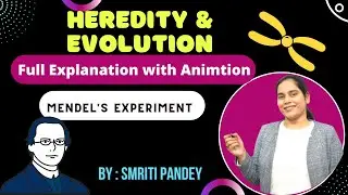 5 Mendel's Experiment | Heredity and Evolution | Class 10 Biology | Bear and Berry