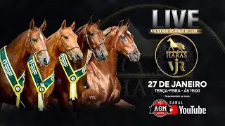 LIVE - APRESENTA&Ccedil;&Atilde;O DOS ANIMAIS DO LEIL&Atilde;O - HARAS VJR
