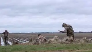 Awesome Specklebelly Goose Hunt with Grand Prairie Duck Guiding