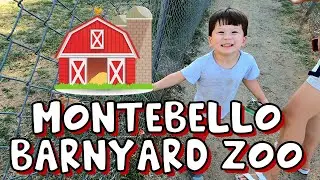 Montebello Barnyard Zoo!