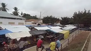 MOV01466