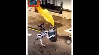 #fire #safety #dothingsyoudontwanttodo #lifeisbutadream #news
