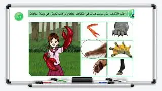 العلوم - الصف السادس - الدرس الرابع