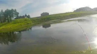 Catching smallmouth in suburban Massachusetts!