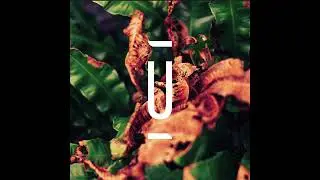 Head Front Panel - Loom [Premiere I WEGS006]