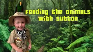 A day in the life of Sutton ❤️
