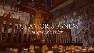 Tui Amoris Ignem - Taizé Winter 2023