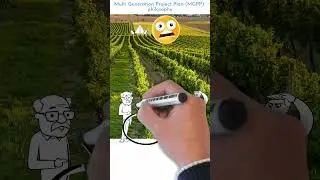 Project planning vineyard example #shorts