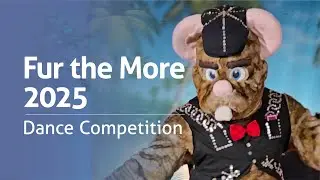 Charleston Rat at Fur the More 2025 Dance Competition