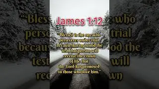 🌿 Hold on. Every trial has a promise from God.Type AMEN if you agree..#bible #verse
