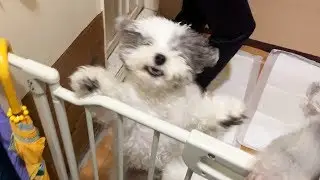 We finally met after 2 weeks.