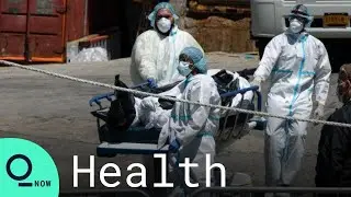 New York City Covid-19 Deaths Surge 31%