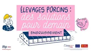 Engraissement en élevages porcins : des solutions pour demain