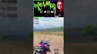 What happened to the buggy?