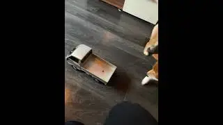 drift douge kira
