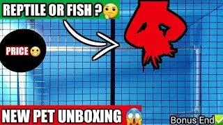 My New Pet Unboxing | Satyajit Pets Vlog fish, reptile or bird ? New DIY Cage cheap monster fish