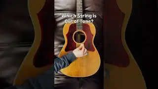 I wonder which one? 🤔   #guitar #music #meme