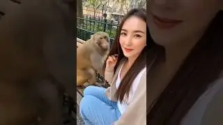 Shot on mobile... look at this 👀 #monkey #funny #ᄋyᄋ #cute #animals #funnyanimals