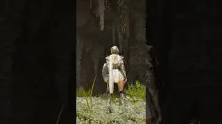 The music and ambience in this game is 👌 #vindictus #thegamingmeadow #videogameambience