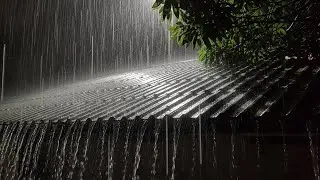 Stormy Rain on Metal Roof 🌧️ Sleep Instantly with Deep Thunder Ambience #47
