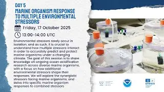 OA Week 2025 - Marine Organism Response to Multiple Environmental Stressors