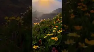 4K Free Stock Footages | #freevideosforyoutube  | video library |#freevideo#freevideosforyoutube