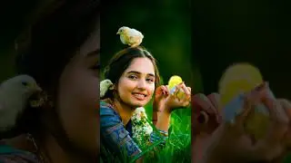 Nuvvem Maya Song | Beautiful Village Girl Playing with Chicks | Okkadu Melody Love Scene