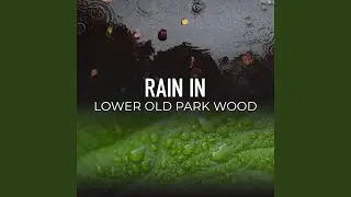 The Beedon Common Rain