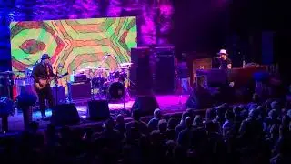 Jackie Greene Band: Shaken