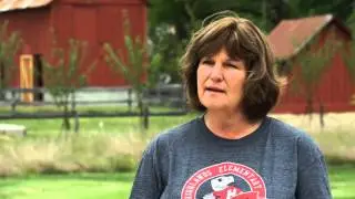 Introduction to Shawnee Town Museum