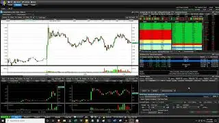 Not making stupid trades with $ALPP $AQMS $FRSX $GRNQ - Live Daytrading Commentary