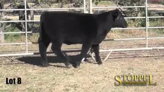 Lot8
