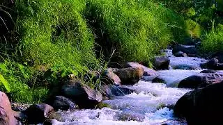 Gentle river water sounds creating smooth calming flow for restful nights and peaceful sleep