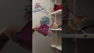 Let&rsquo;s enjoy pinky for now
